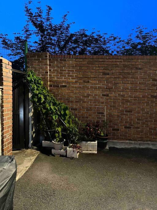 Dongming House Guest house *